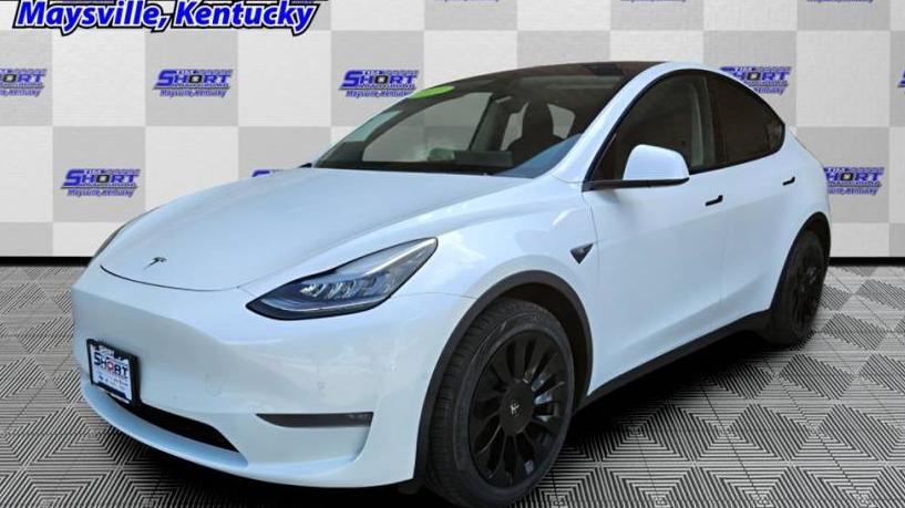 TESLA MODEL Y 2021 5YJYGDEE7MF096873 image